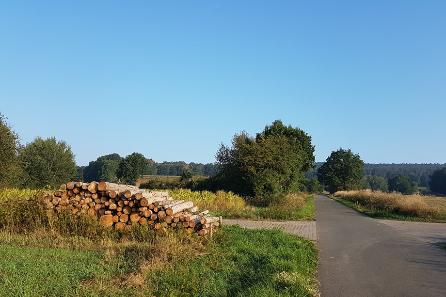 Rund um Frensdorf Schbazls Welt