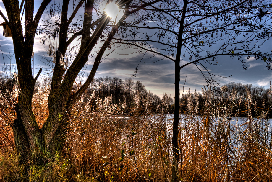 16c-dsc_4292_tonemapped